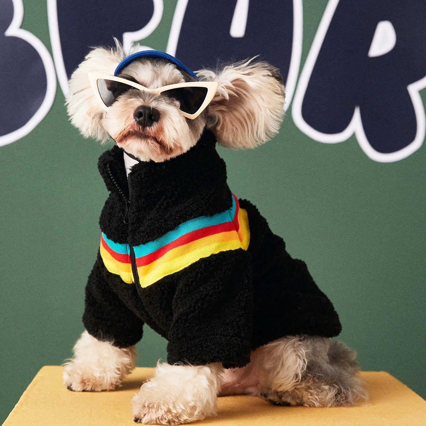 Pet Casual Fashion Lamb Wool Coat with Color Stripes