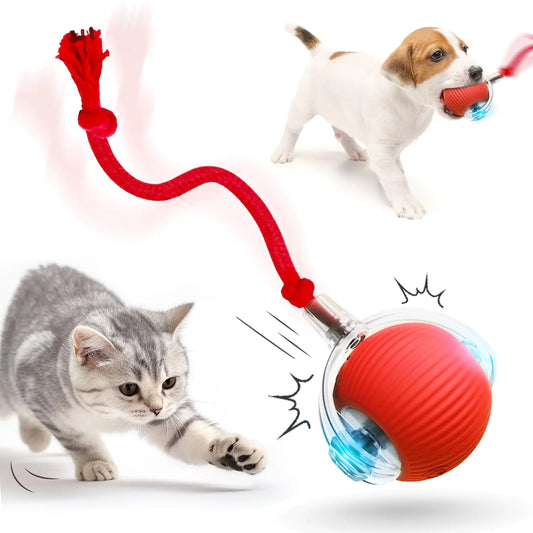 Interactive Pet Toy Ball