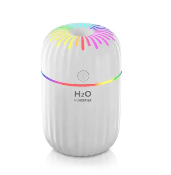 Mini Hydrating Humidifier